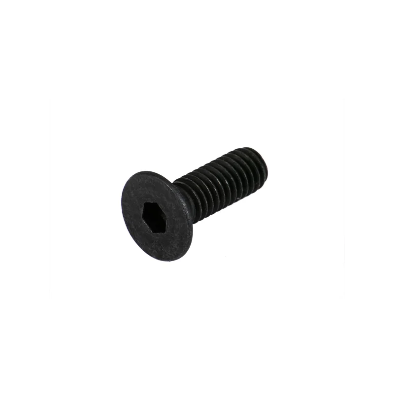 Bosch Fixing Screws 546169080 protection
