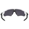 Oakley Radar Goggles Ev Path Polished White Prizm Black Polarized OO9208-94