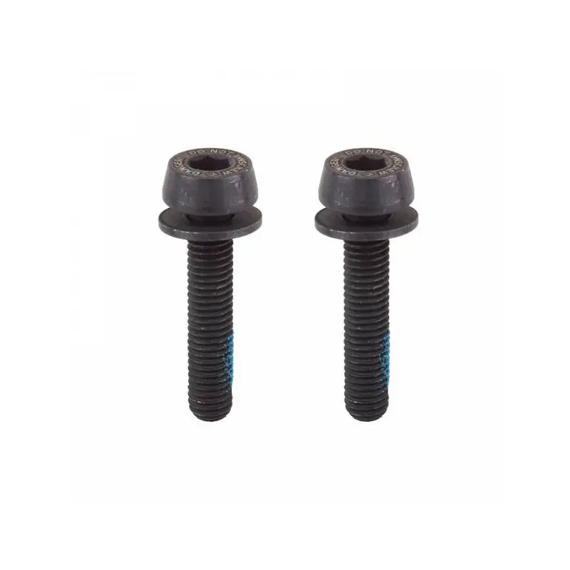 Campagnolo Kit 2 Fixing Screws 24mm CMAC8DBSC24
