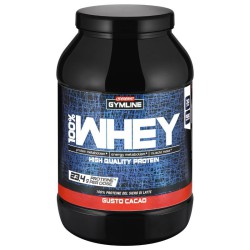 Enervit Whey 100% Protein Supplements 900g 92703