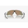 Oakley Radar Goggles Ev Path Polished White Prizm Ruby OO9208-72