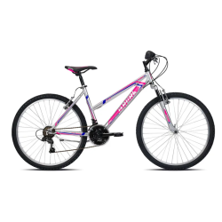 Brera City Bike Infinity 26" Grigio 18v 100266035