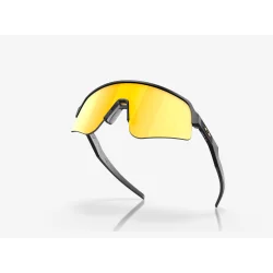 Oakley Sutro Lite Sweep Matte Carbon Prizm 24K Goggles