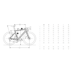 Ridley Falcn Rs Disc - Ultegra R8170 12s - DT Swiss Arc 1400 Dicut 50 Carbon Bike