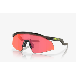 Oakley Hydra Olive Ink Prizm Trail Torch Goggles