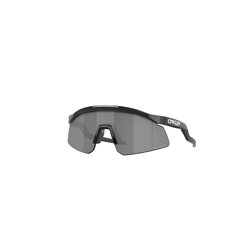 Oakley Hydra Black Ink Prizm Black Goggles