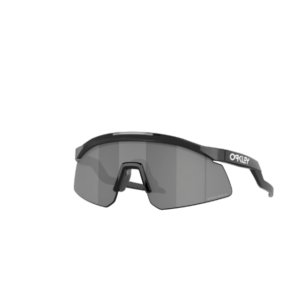 Oakley Hydra Black Ink Prizm Black Goggles