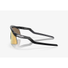 Oakley Hydra Black Ink Prizm 24K Goggles