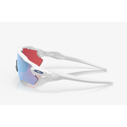 Oakley Ev Path Radar Goggles Polished White Prizm Snow Sapphire