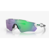 Oakley Ev Path Radar Goggles Polished White Prizm Jade