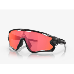 Oakley Jawbreaker Matte...