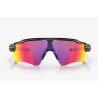 Oakley Ev Path Scenic Grey Prizm Road Radar Goggles