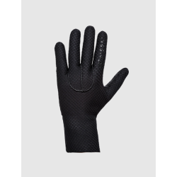 Pissei Izoard Winter Gloves...