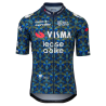 Agu Team Visma Lease A Bike 24 Summer Jersey