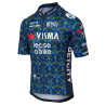 Agu Team Visma Lease A Bike 24 Summer Jersey