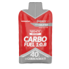 WhySport Integratori Gel Carbo Fuel 1:0.8 60ml