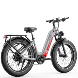 Ovivo E-Mtb V6 Pro 960Wh - Argento/Rosso