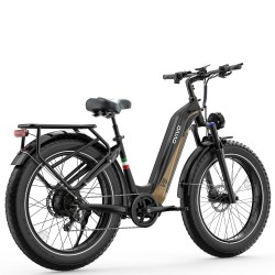 Ovivo E-Mtb V6 Pro 960Wh - Black/Gold