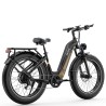 Ovivo E-Mtb V6 Pro 960Wh - Black/Gold