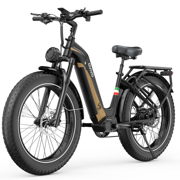 Ovivo E-Mtb V6 Pro 960Wh - Black/Gold