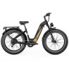 Ovivo E-Mtb V6 Pro 960Wh - Black/Gold