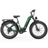 Ovivo E-Mtb V6 Pro 960Wh - Green/Black