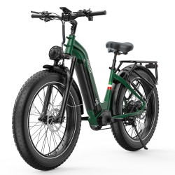 Ovivo E-Mtb V6 Pro 960Wh -...