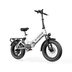 G-Force Fat Bike Re St