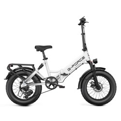 G-Force Fat Bike Re St