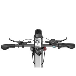 G-Force Fat Bike Re St
