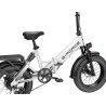 G-Force Fat Bike Re St