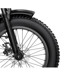 G-Force Fat Bike Re St