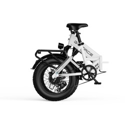 G-Force Fat Bike Re St