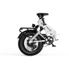 G-Force Fat Bike Re St