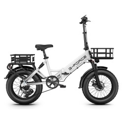 G-Force Fat Bike Re St