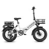 G-Force Fat Bike Re St