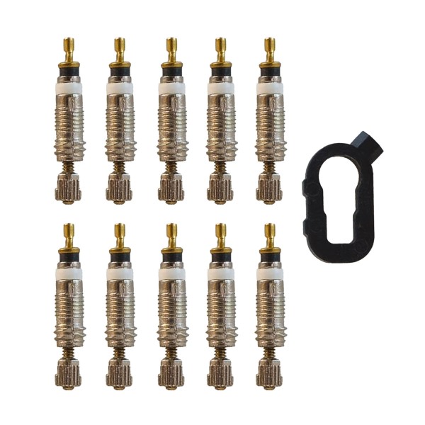 Campa Bros Kit 10 Cores Presta Valve