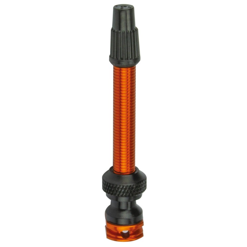 Campa Bross Valve Ust 50mm double hole