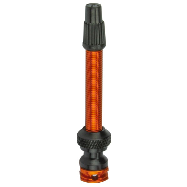 Campa Bross Valve Ust 50mm double hole