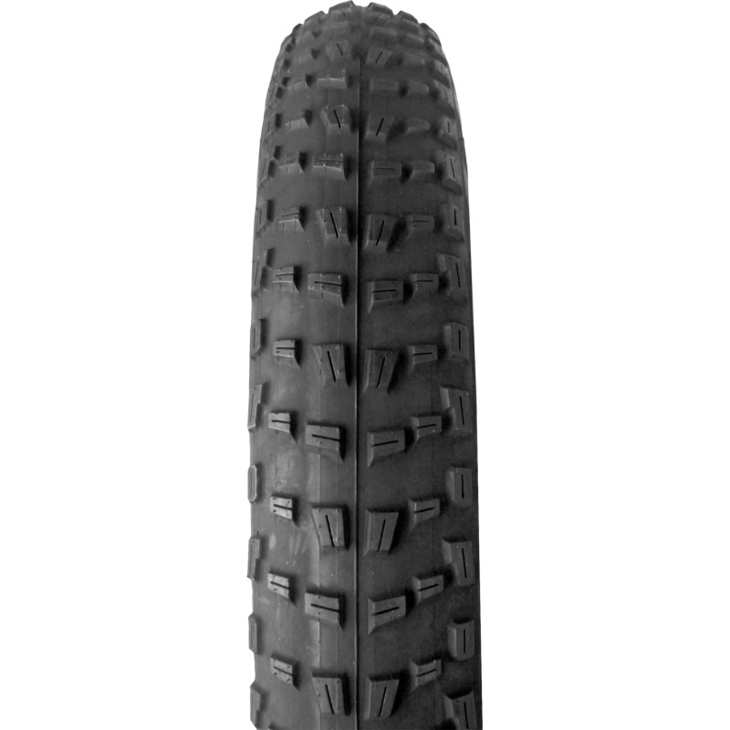 Eleven copertone E-Bike Fat Boy II 20 x 4.00 60 TPI nero