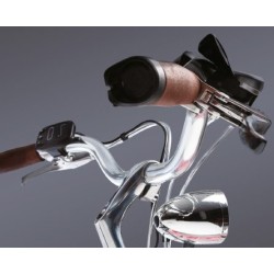 Wd99 E-City Women's Bike Melody 28"