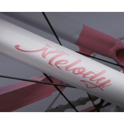 Wd99 E-City Women's Bike Melody 28"