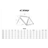 Colnago Bici C64 - Shimano Ultegra Di2 R8170 12v - Fulcrum 600