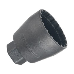 FSA MegaEvo central...