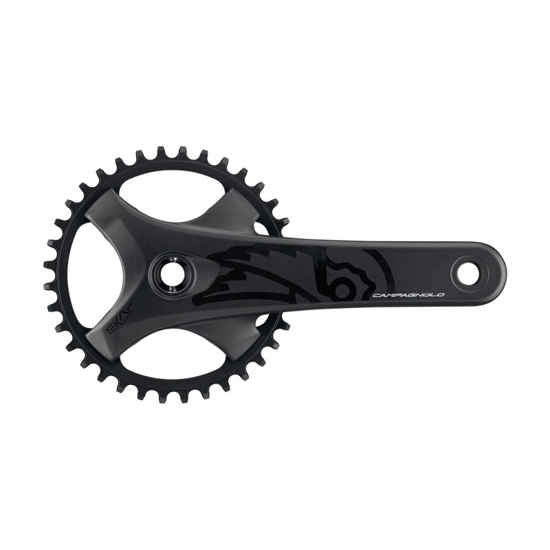 Campagnolo Guarn. Ekar GT 13v. (compatible only with IC21 and OC21 cap codes)