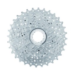 Campagnolo Pacco  Pignoni...