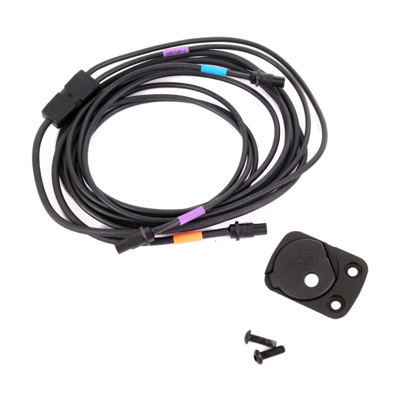 Campagnolo Cablaggio per montaggio interfaccia interna telaio - BMC