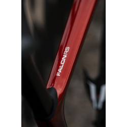 Ridley Bici Falcn Rs Disc - Ultegra R8170 12v - DT Swiss Arc 1400 Dicut 50 Carbon