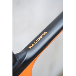 Falcn RS Force AXS 2x12 Bike Ridley