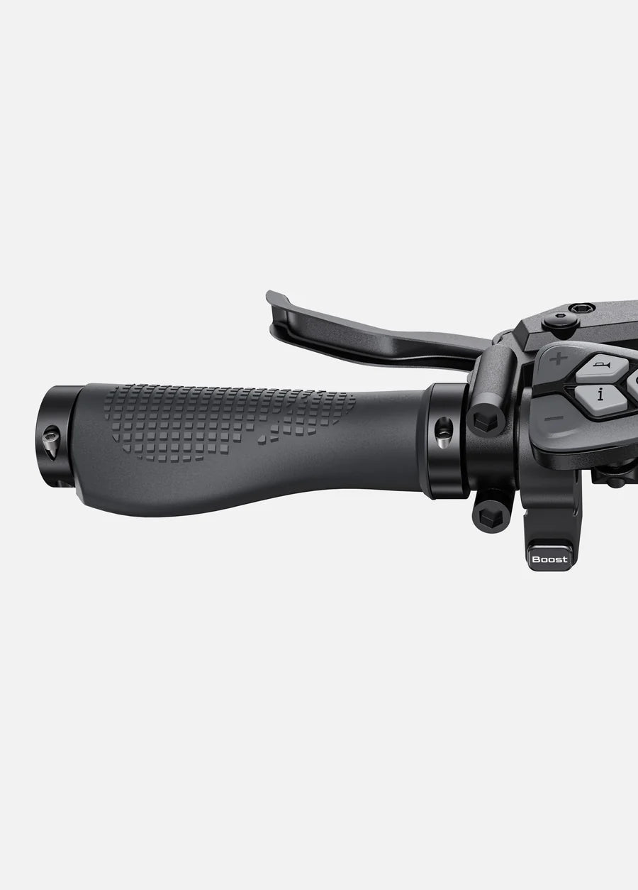 Engwe Bici Elettrica E-Bike L20 3.0 Boost 250/650Wh